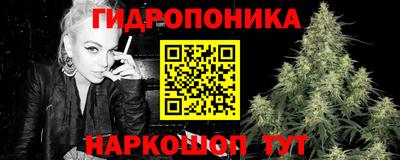гашик Ярцево