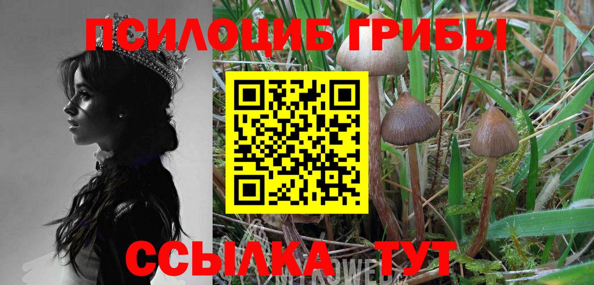Кумертау  Галлюциногенные грибы мицелий  Псилоцибиновые грибы Magic Shrooms  Вход с VPN 